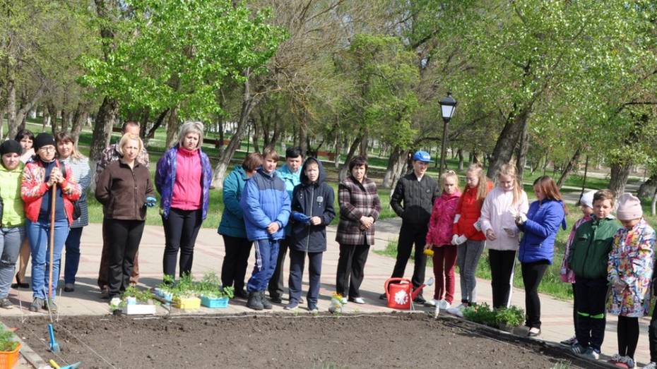 В Павловске посадили 2 тыс бархатцев в рамках акции «Цветы Победы»