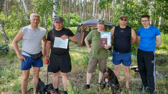 Охотничьи собаки панинских заводчиков стали призерами областной выставки