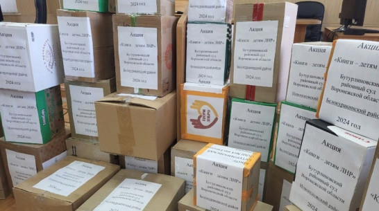 Жители Бутурлиновки передали детям ЛНР более 1 тыс книг