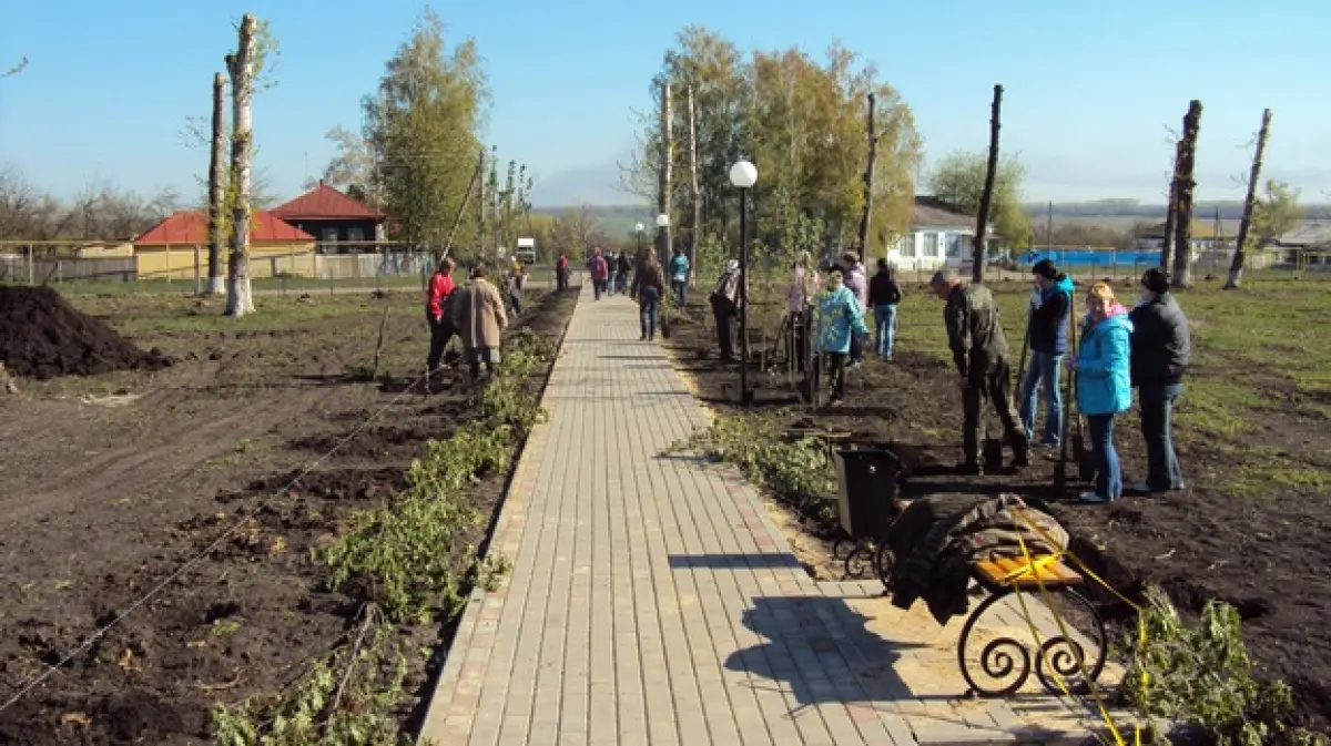 Погода воронеж хохольский