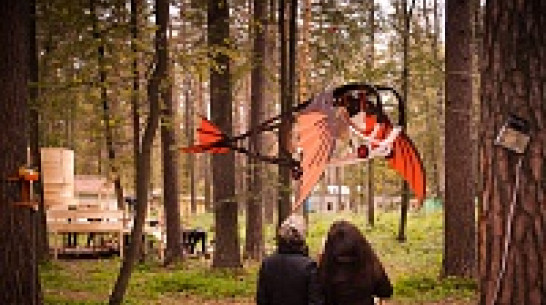 На базе отдыха под Воронежем молодые архитекторы построили город над землей