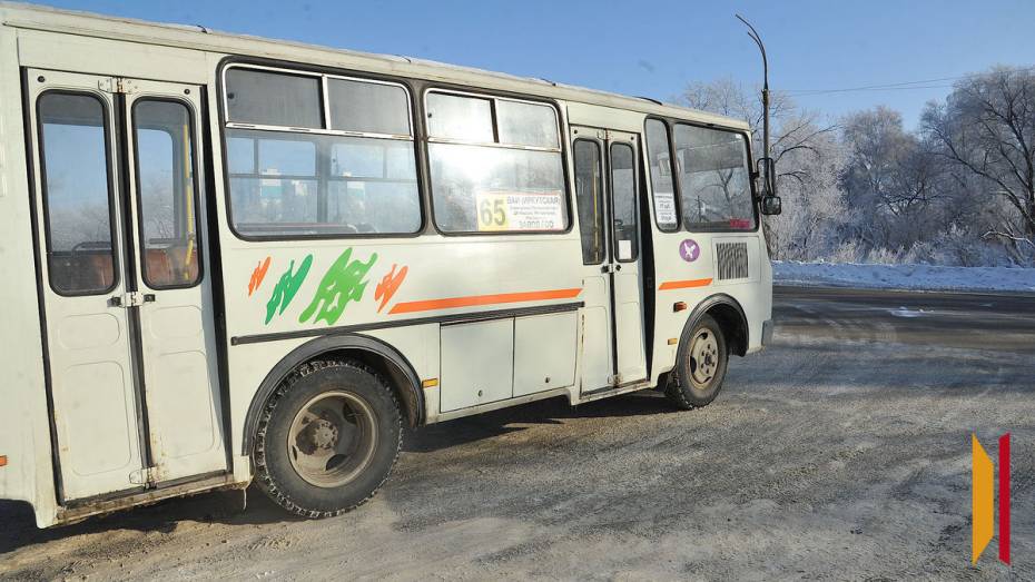 В Воронеже автоинспекторы проводят рейд по маршруткам