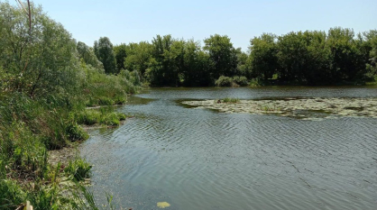 Суд поставил точку в споре фирмы с департаментом экологии из-за озера под Воронежем
