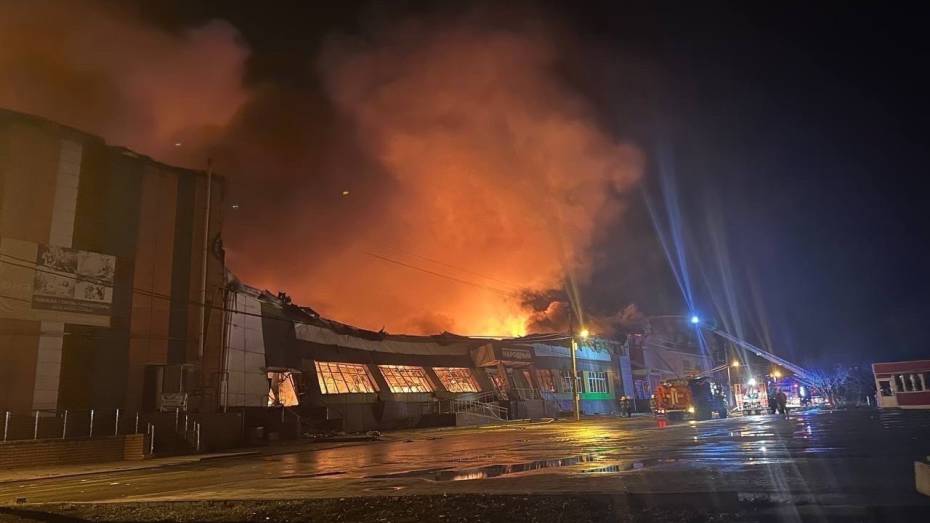 Воронежцам раскрыли подробности атаки БПЛА в ночь на 18 ноября: пострадали 3 человека