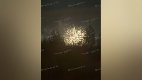 Воронежцы пожаловались на запуск салюта вечером 14 января