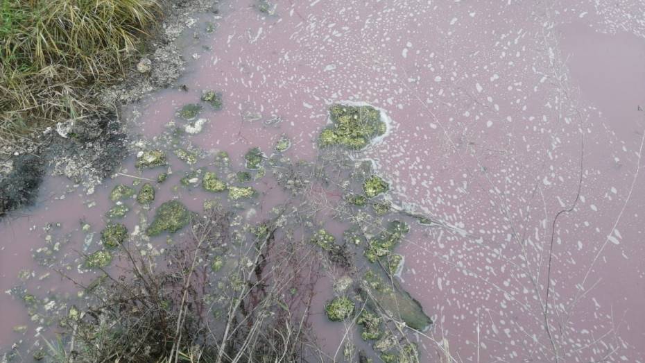 Жители воронежского села пожаловались на окрасившуюся в розовый цвет воду