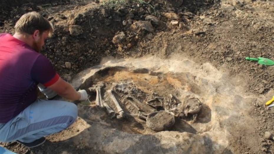 В Воронежской области археологи нашли захоронение бронзового века возрастом более 3 тыс лет