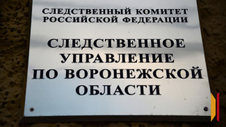 СК организовал проверку после гибели 69-летнего мужчины при пожаре в Костенках под Воронежем