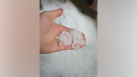 Майский град в Воронежской области сняли на видео