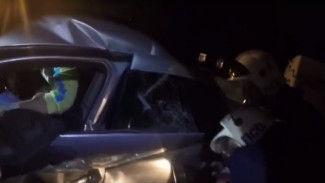 В сети появилось видео работы спасателей на месте ДТП с трактором в Воронеже