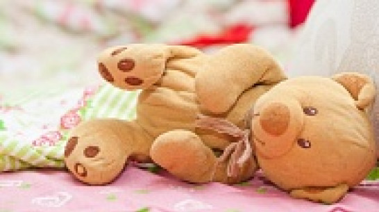 С начала года воронежские работодатели отказали пяти женщинам в пособиях по рождению ребенка и уходу за ним