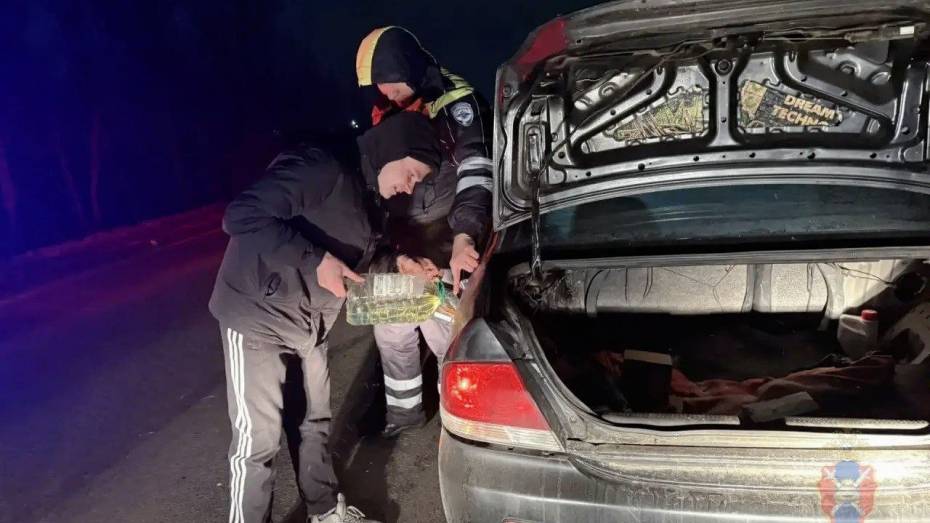 Воронежские полицейские помогли водителю, машина которого заглохла на ночной заснеженной трассе