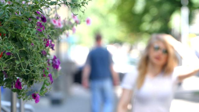Штормовое предупреждение продлили в Воронежской области из-за сильной жары