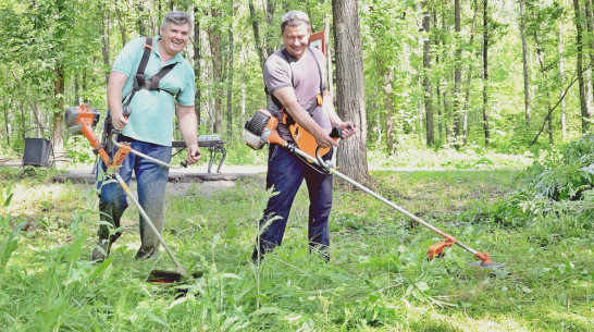 В Семилуках глава города очистил от поросли гектар парка