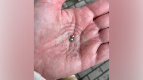 В Воронеже неизвестный стрелял по прохожим из пневматического оружия