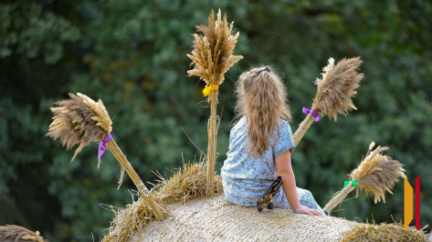 На охрану фестиваля «Город-сад» в Воронеже выделят почти 5 млн рублей