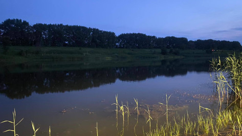 В воронежском селе подросток утонул на глазах у отца