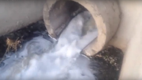 Житель Воронежской области опубликовал петицию в защиту реки Дон от загрязнений