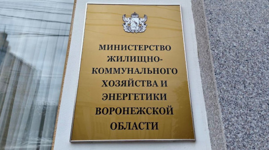 Майя Талынева назначена заместителем министра ЖКХ Воронежской области