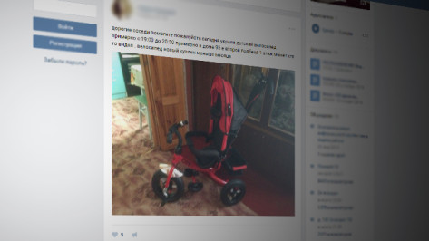 В Воронеже пользователи соцсети помогли найти похищенный велосипед
