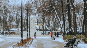 Сильный снег и мороз до -10 градусов ожидаются в Воронеже в выходные