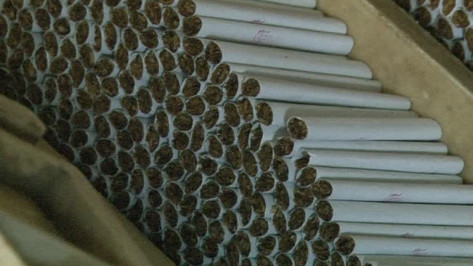Владельцы подпольного табачного цеха под Воронежем заработали 2,2 млн рублей