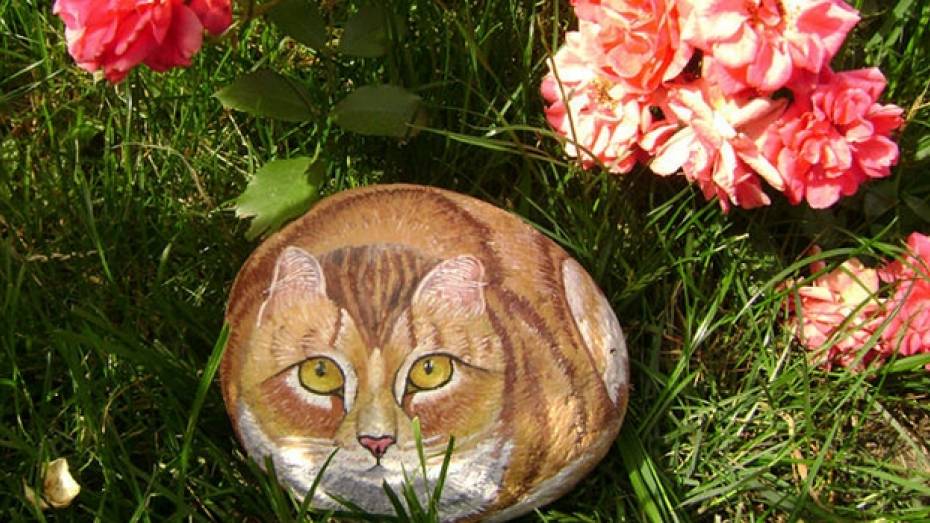 Жительница Калача Наталья Матвиенко превращает камни в кошек