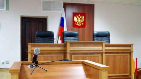 Жительницу Воронежской области лишили свободы за неуплату алиментов