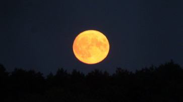 Воронежцы смогут увидеть «Бобровую Луну»