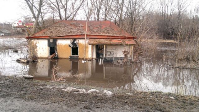 Заброшенные села Воронежской области возродят бывшие заключенные