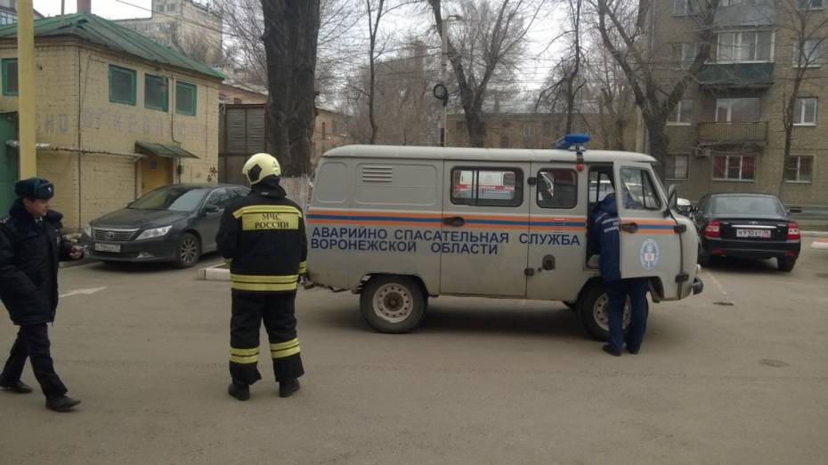 Полицейские опровергли информацию о заминированной иномарке в Воронеже