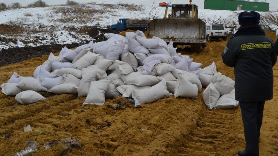На полигоне под Воронежем раздавили бульдозерами 68 тонн гречки