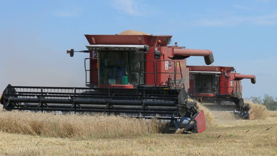 Подгоренский район занял первое место по урожайности зерновых в Юго-Восточной зоне региона