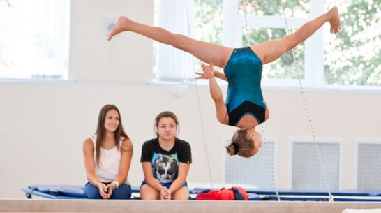 Воронежская область выиграла грант Олимпийского комитета России