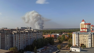 Больше 40 пожаров одновременно бушуют в Воронежской области