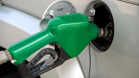 В Воронежской области опять подешевели две марки бензина