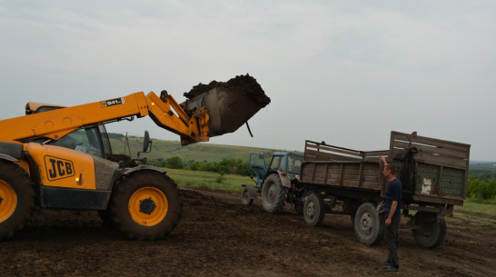 Нижнедевицкие аграрии приступили к внесению органических удобрений