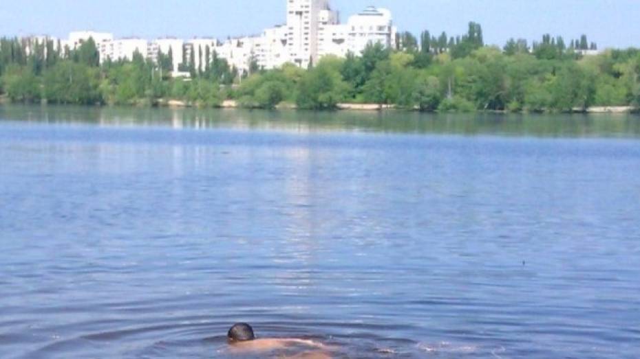 В Воронежском водохранилище нашли аденовирус
