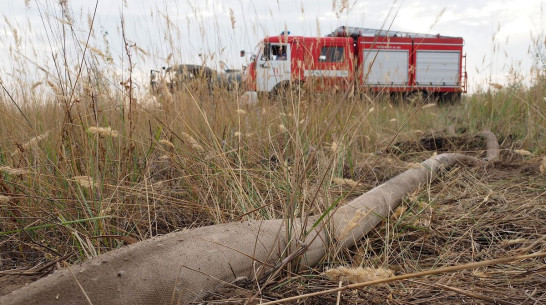 Желтый уровень погодной опасности продлили в Воронежской области из-за риска пожаров
