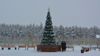 В Россоши в Каяловом бору установили 7-метровую новогоднюю елку