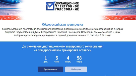 Технология будущего. Как в Воронежской области тестируют систему электронного голосования