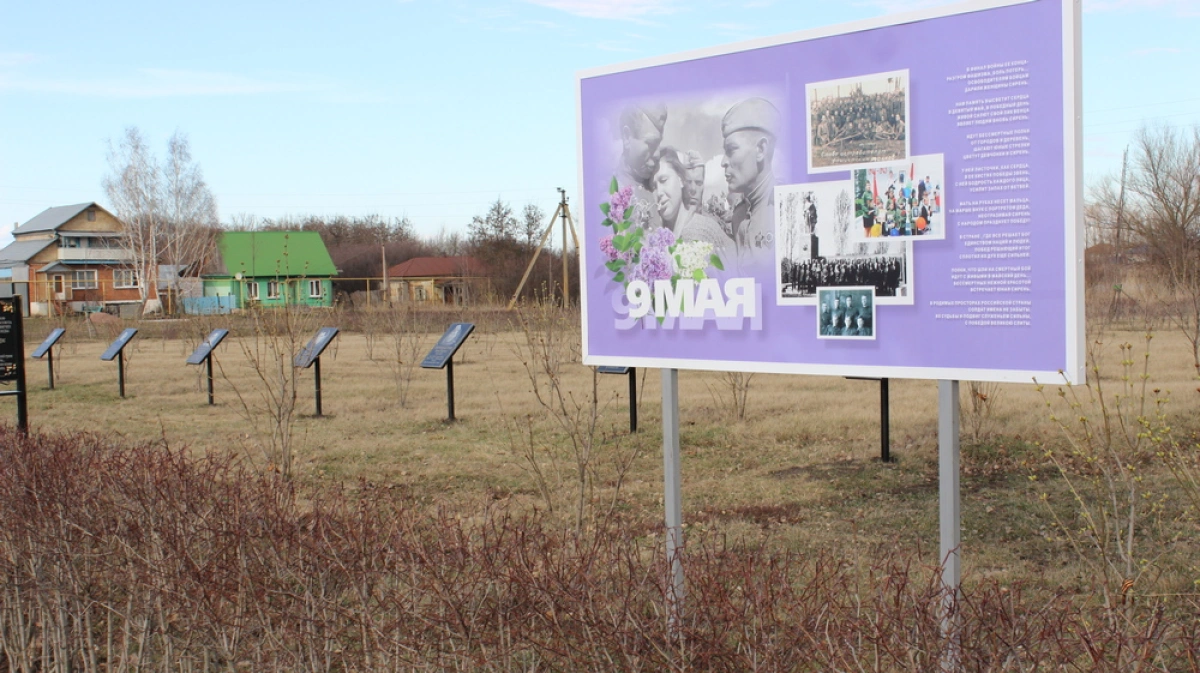 воронежская область, таловский р-н, с. тишанка таловского района. таловский район село александровка. александровка воронежская область таловский район. орловка таловский район воронежской.
