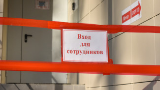 Более 8 тыс COVID-пациентов скончались в Воронежской области за время пандемии