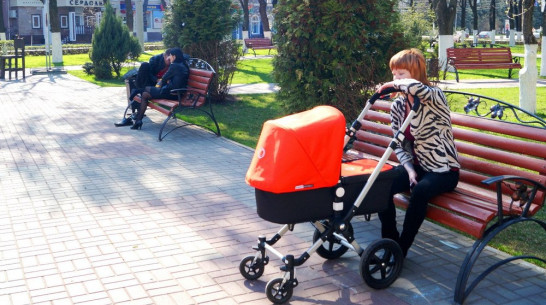 Воронежская облдума разрешила тратить региональный маткапитал на ипотеку 