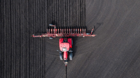 Воронежские агропредприятия ГК «Продимекс» приступили к частичному пересеву сахарной свеклы