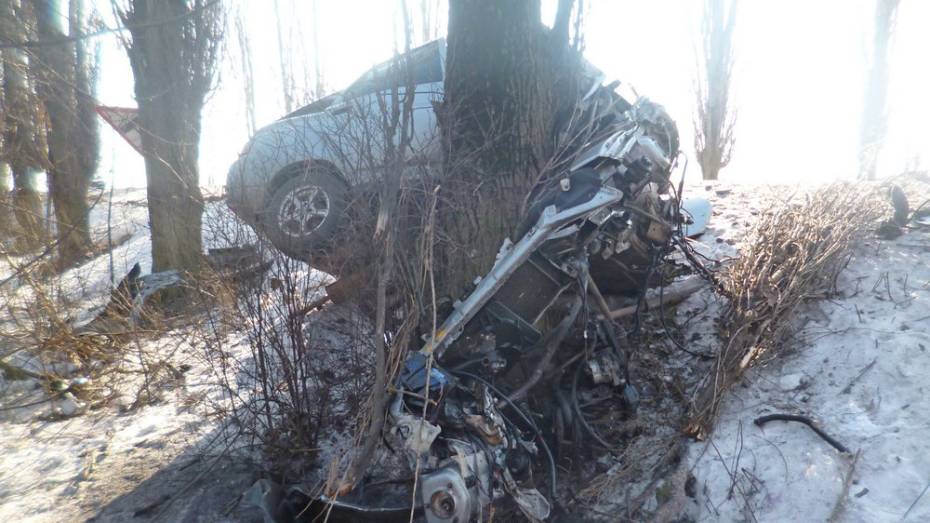 В Таловском районе ВАЗ слетел с дороги и врезался в дерево: пострадал 21-летний пассажир