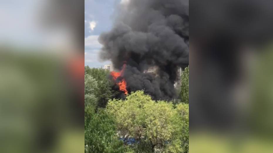На видео попал масштабный пожар в юго-западной части Воронежа