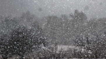Первый снег сняли на видео в Панинском районе Воронежской области