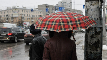 Аномальное тепло сохранится в Воронеже на новой неделе