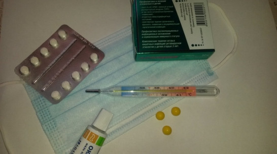 В Воронежской области заболеваемость гриппом и ОРВИ пошла на спад 